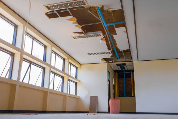 Best Sewage cleanup and water damage restoration  in Clinton, KY