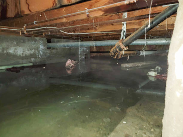 Best Water damage restoration company  in Clinton, KY