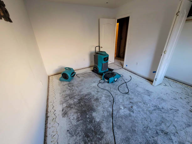 Best Mold removal after water damage  in Clinton, KY
