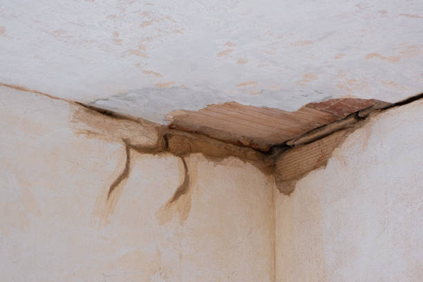 Best Fire Damage Restoration  in Clinton, KY