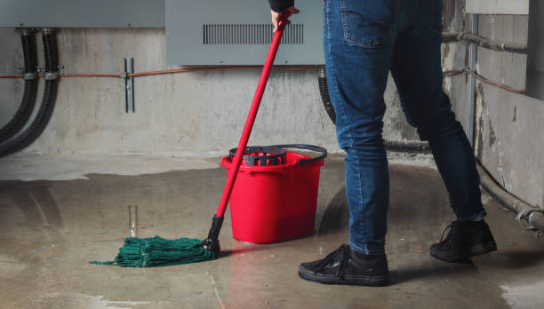 Best Flooded house restoration  in Clinton, KY