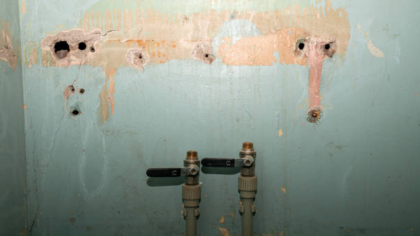 Best 24/7 water damage repair  in Clinton, KY