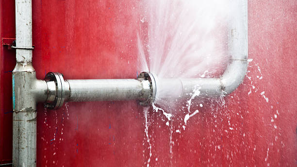 Best Flood damage cleanup  in Clinton, KY