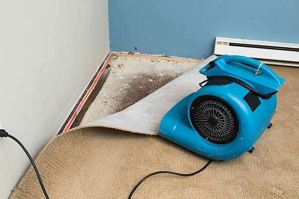 Best Basement water damage restoration  in Clinton, KY
